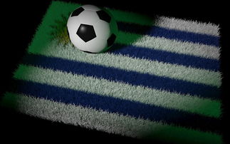 爱游戏下载-中国足球国家队备战东亚杯积极备战，中国队东亚杯名单